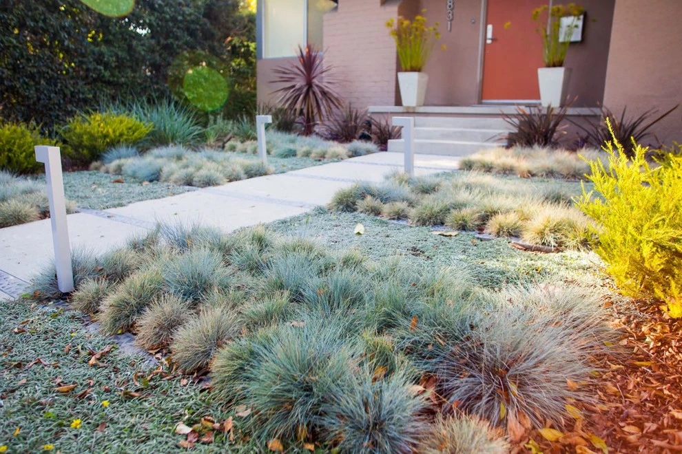 Echo Landscape Architecture Studio - Photo 5