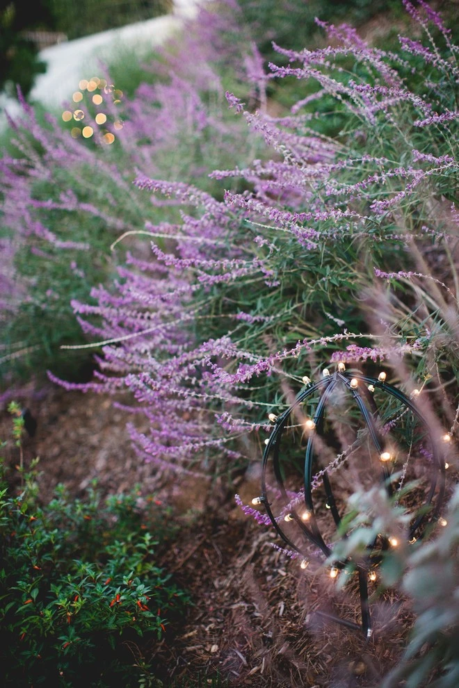 Beachwood Canyon Eclectic Landscape by Echo Landscape Architecture Studio - Photo 10