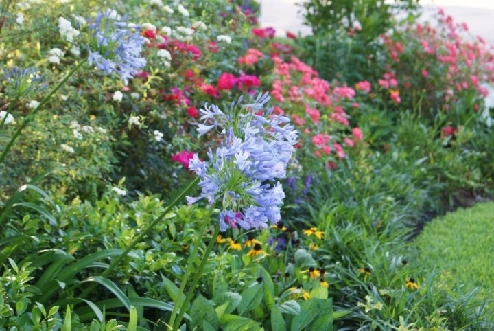 Kingwood English Garden by Designs By Elizabeth - Photo 2