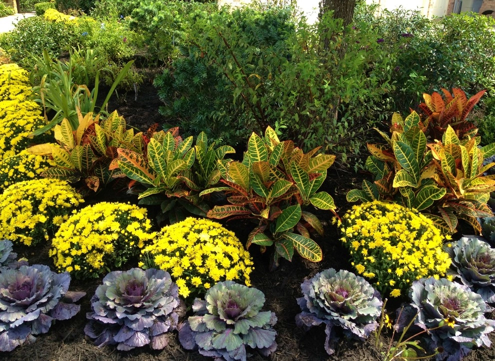 Fall Color by Designs By Elizabeth - Photo 11