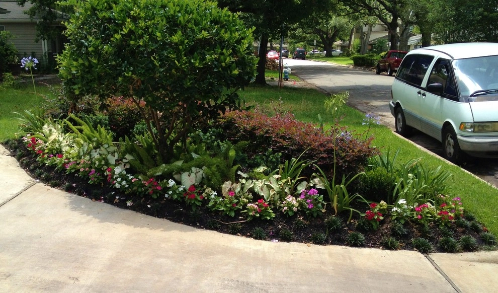 West University by Designs By Elizabeth - Photo 4