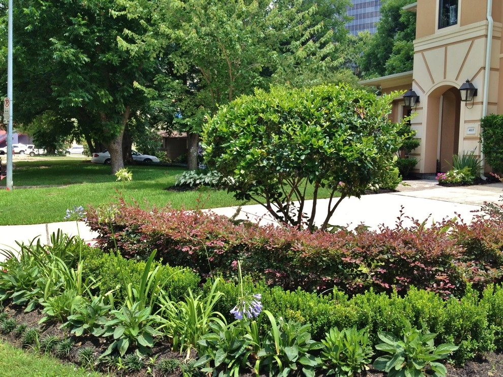 West University by Designs By Elizabeth - Photo 2