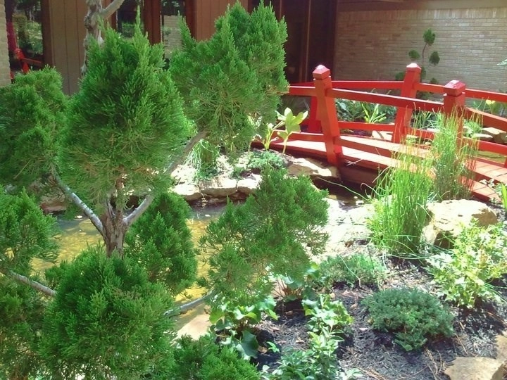 Kingwood Japanese Stroll Garden by Designs By Elizabeth - Photo 5
