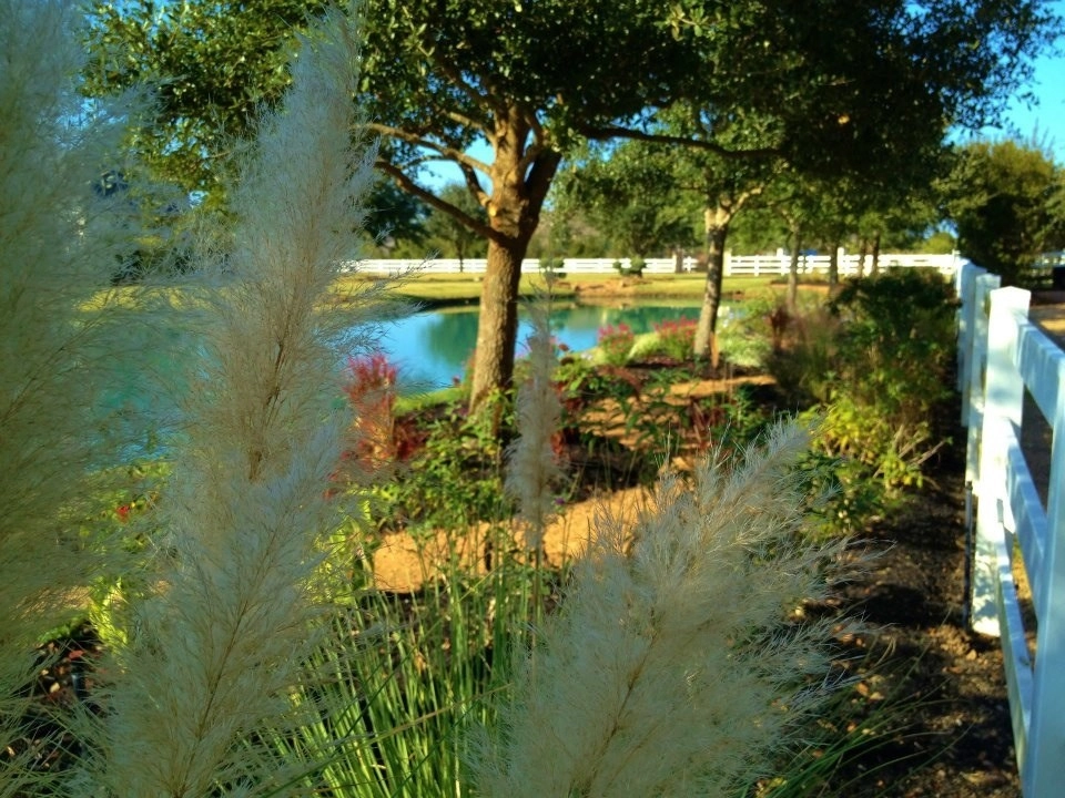 Hill Country in Cypress Texas by Designs By Elizabeth - Photo 2