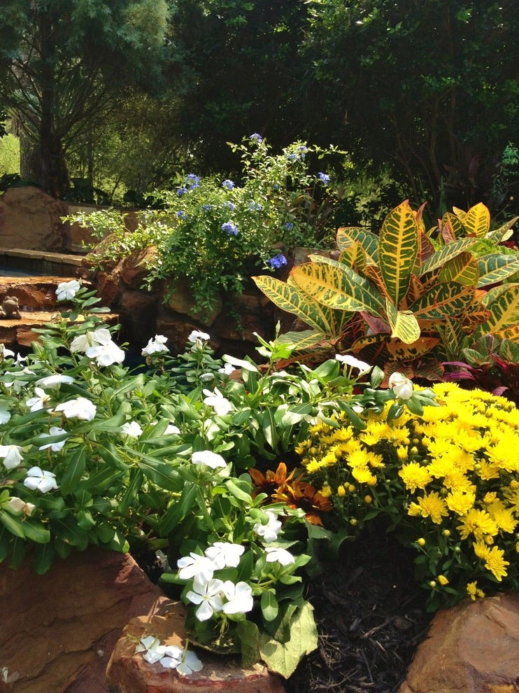 Fall Color by Designs By Elizabeth - Photo 3