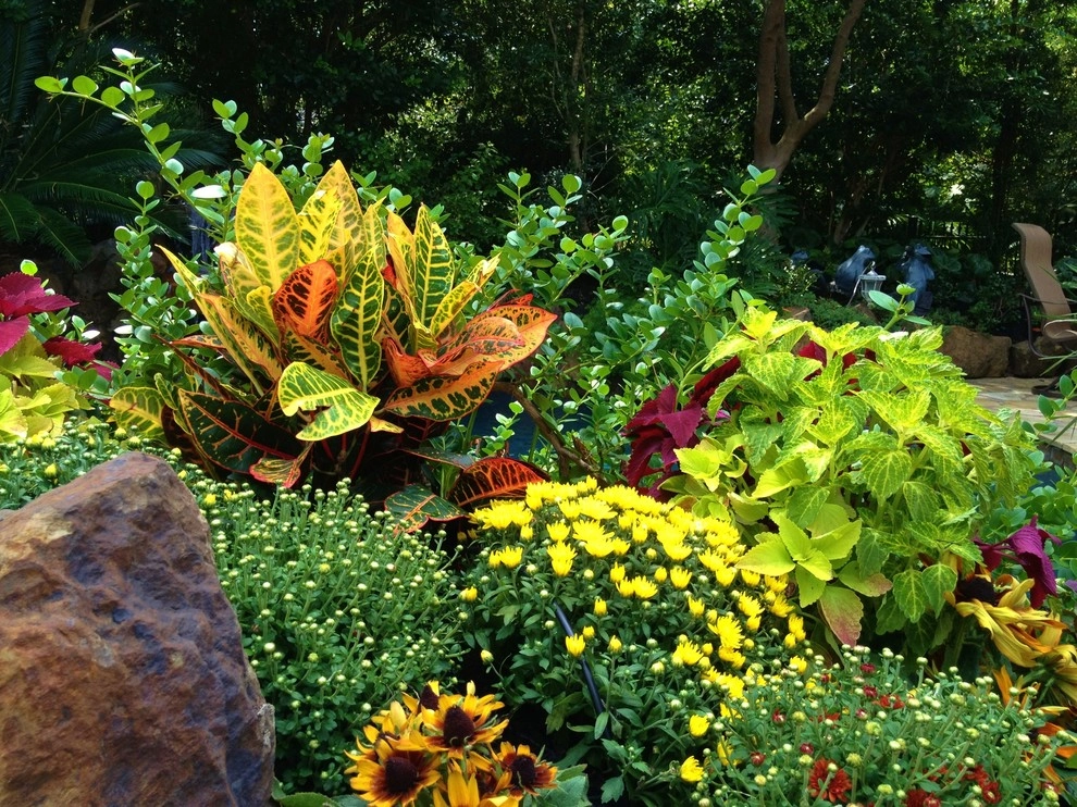 Fall Color by Designs By Elizabeth - Photo 12