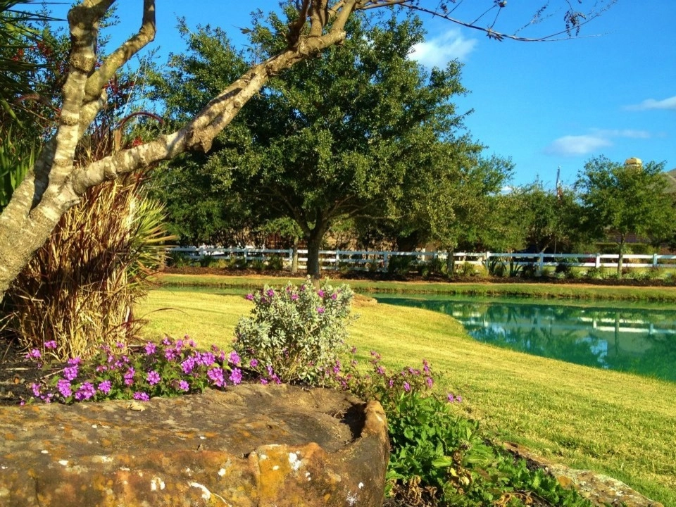 Hill Country in Cypress Texas by Designs By Elizabeth - Photo 5