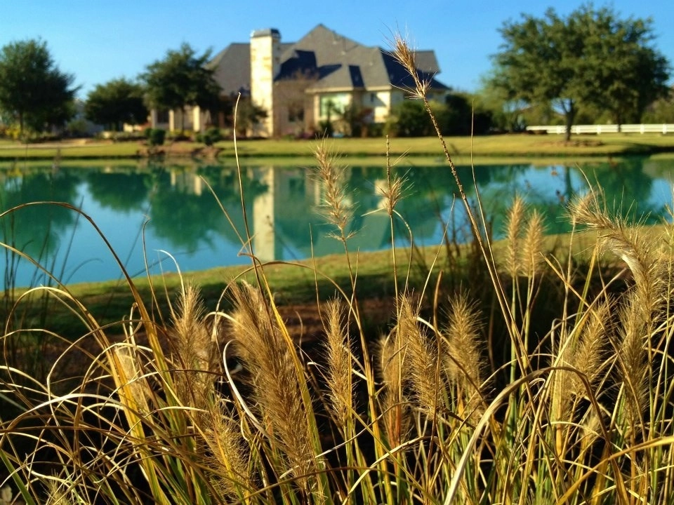Hill Country in Cypress Texas by Designs By Elizabeth - Photo 6