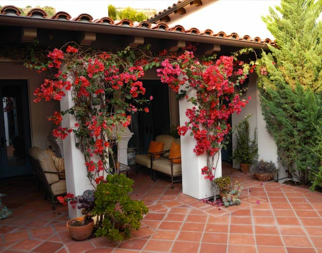 Private Residence in Crystal Cove by Exteriors Inc. Landscape Design - Photo 13