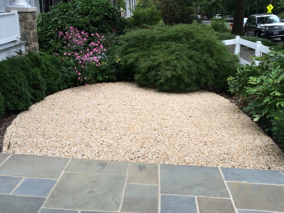 Cleveland Park, DC by Fine Garden Design - Photo 5