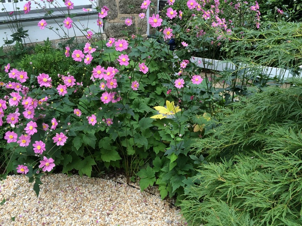 Fine Garden Design - Photo 11