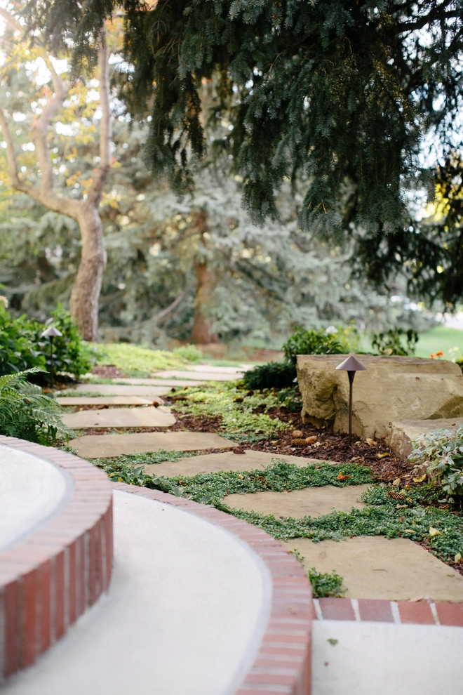 Detailed Landscape - Photo 9