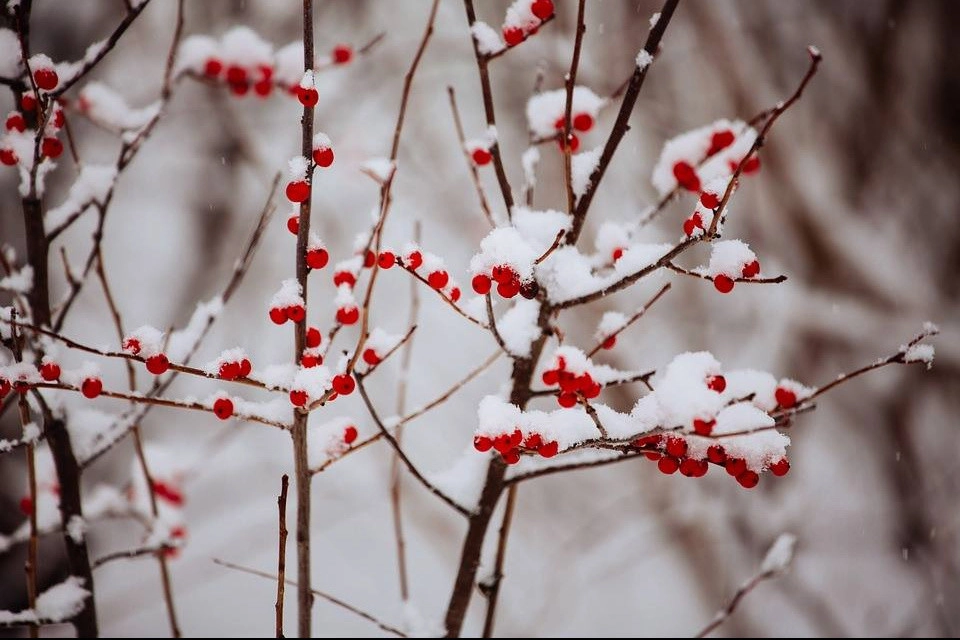 Floral Landscaping by Detailed Landscape - Photo 3