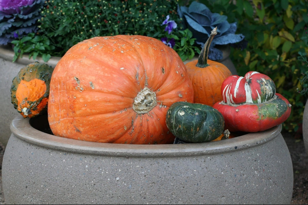 Fall Festive Landscaping by Detailed Landscape - Photo 2