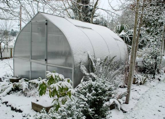Winter Landscaping by Detailed Landscape - Photo 2