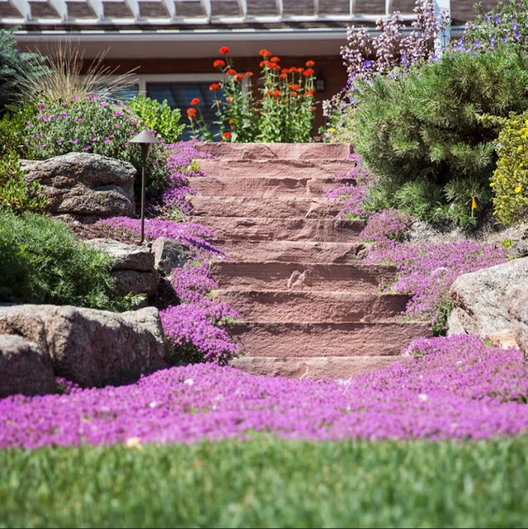 Front Yard Landscaping by Detailed Landscape - Photo 14