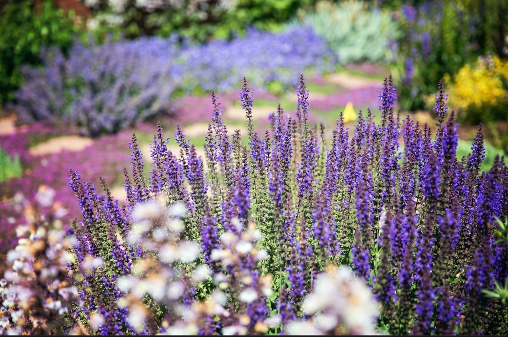 Floral Landscaping by Detailed Landscape - Photo 4