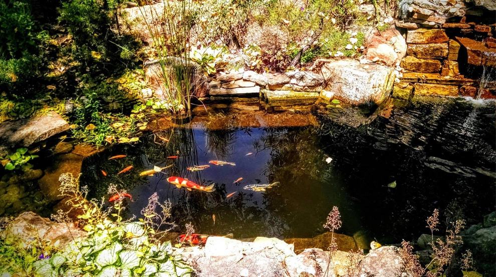 Koi Pond's and Waterfall Ponds by Detailed Landscape - Photo 3