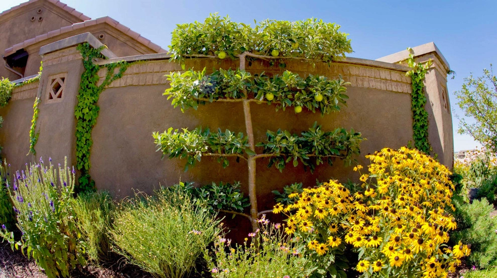Front Yard Landscaping by Detailed Landscape - Photo 6