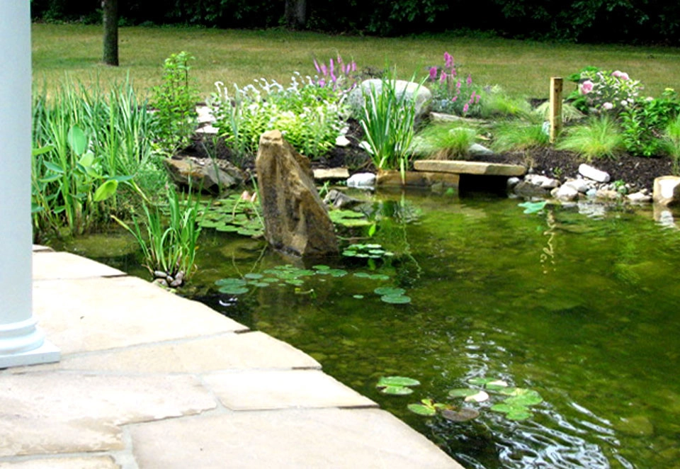 Aquatic Sanctuary by Devore's Land & Water Gardens - Photo 2