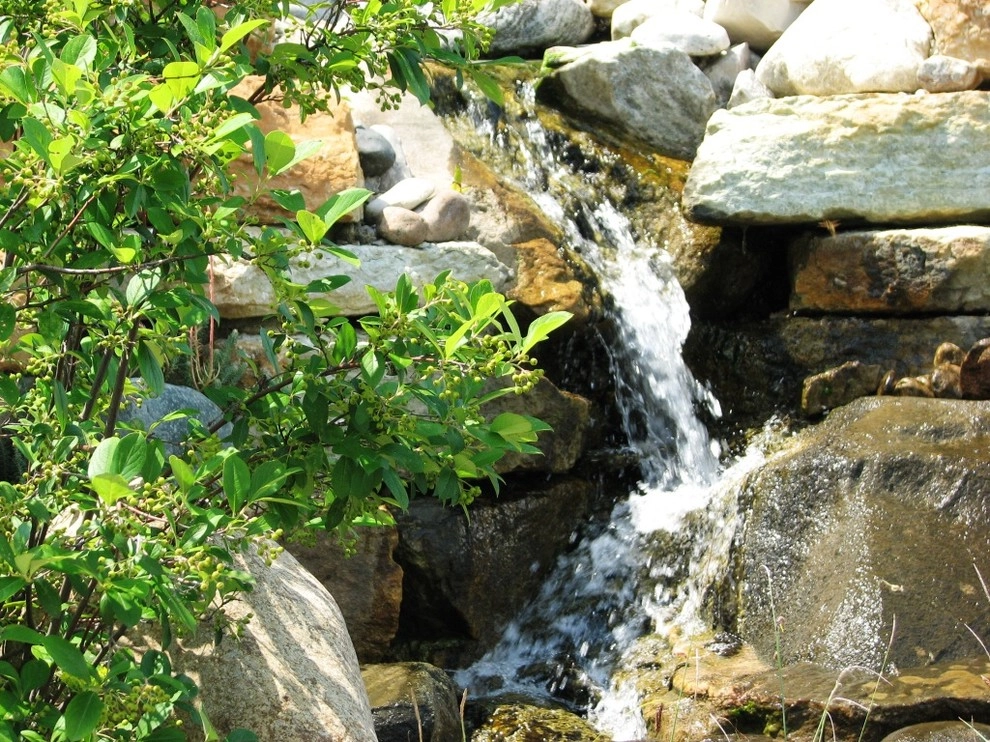 Ponds & Water features by Devore's Land & Water Gardens - Photo 9