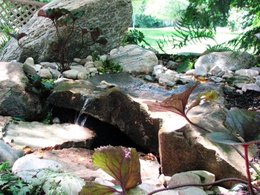Ponds & Water features by Devore's Land & Water Gardens - Photo 6