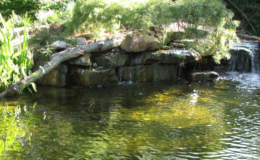 Aquatic Sanctuary by Devore's Land & Water Gardens - Photo 7