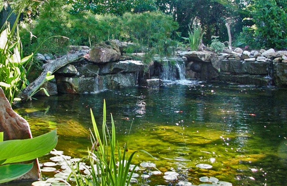 Ponds & Water features by Devore's Land & Water Gardens - Photo 8