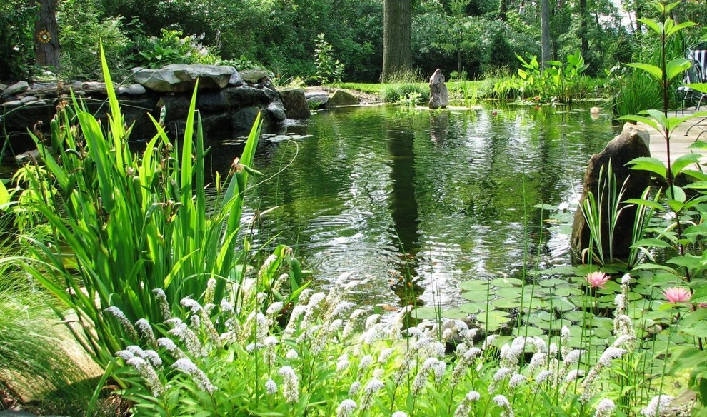 Ponds & Water features by Devore's Land & Water Gardens - Photo 7