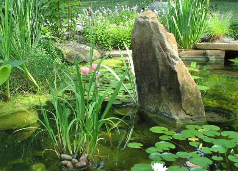 Ponds & Water features by Devore's Land & Water Gardens - Photo 12