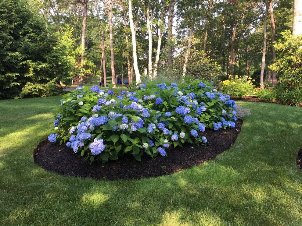 Pocasset Cape by Gardens By Barbara Conolly - Photo 3