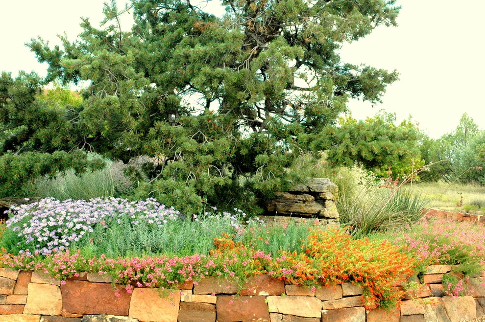Gardensong - Photo 13