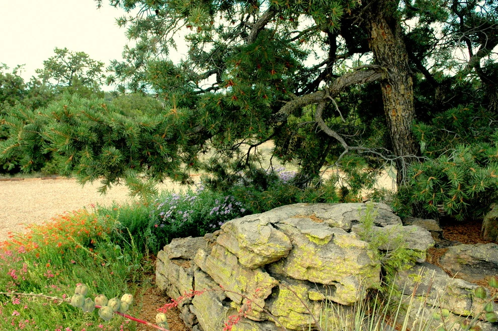 Gardensong - Photo 4