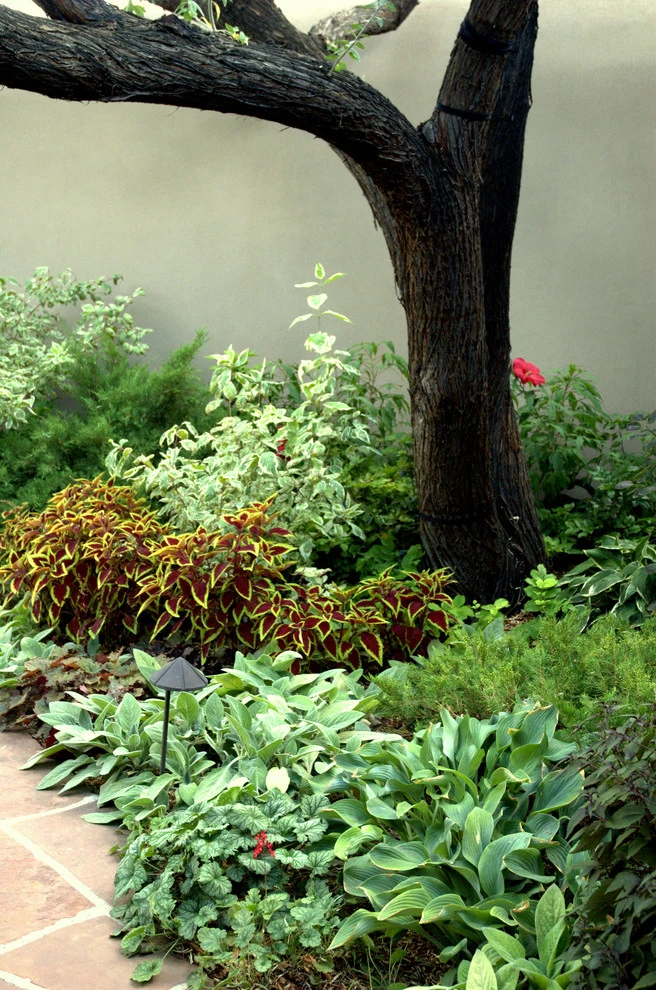 Gardensong - Photo 11
