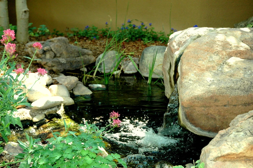 Peaceful Bliss by Gardensong - Photo 6
