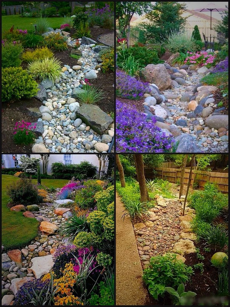Desert Landscape by Del Mar Landscaping - Photo 6
