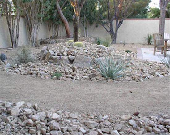 Desert Landscape by Del Mar Landscaping - Photo 3