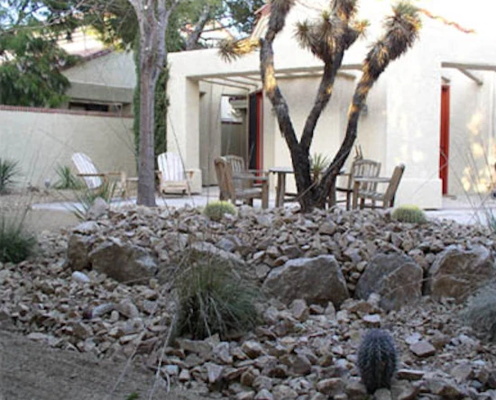 Desert Landscape by Del Mar Landscaping - Photo 4