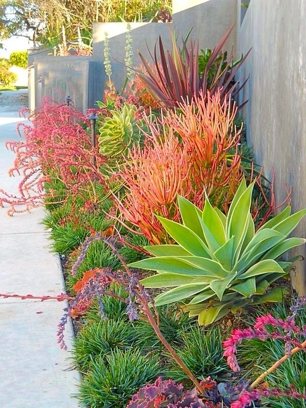 Del Mar Landscaping - Photo 4