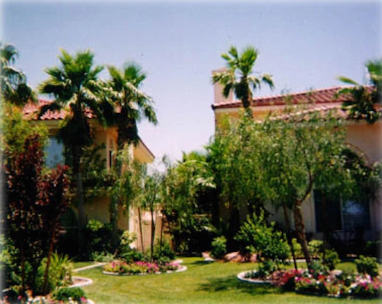 Del Mar Landscaping - Photo 9