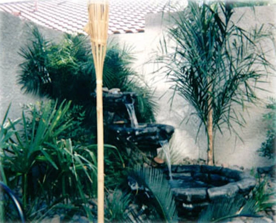 Del Mar Landscaping - Photo 7