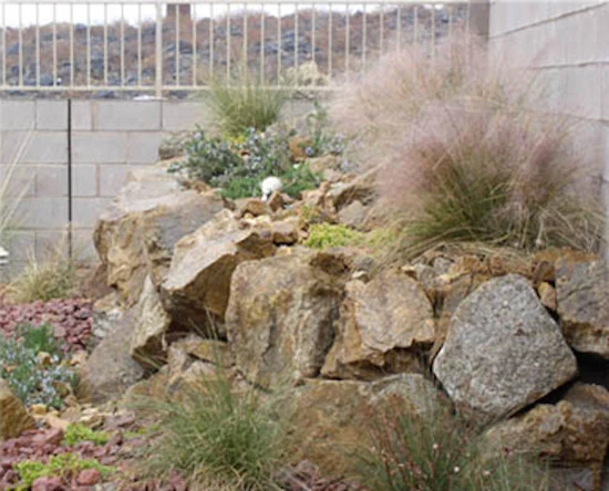 Del Mar Landscaping - Photo 14
