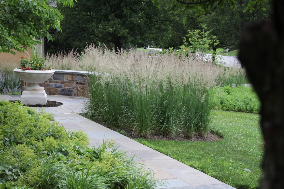 Suburban Neighborhood Garden, Wayne PA by Donald Pell - Gardens - Photo 6