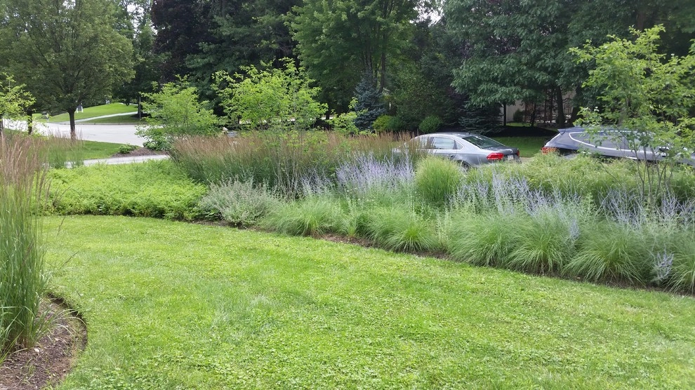 Suburban Neighborhood Garden, Wayne PA by Donald Pell - Gardens - Photo 4