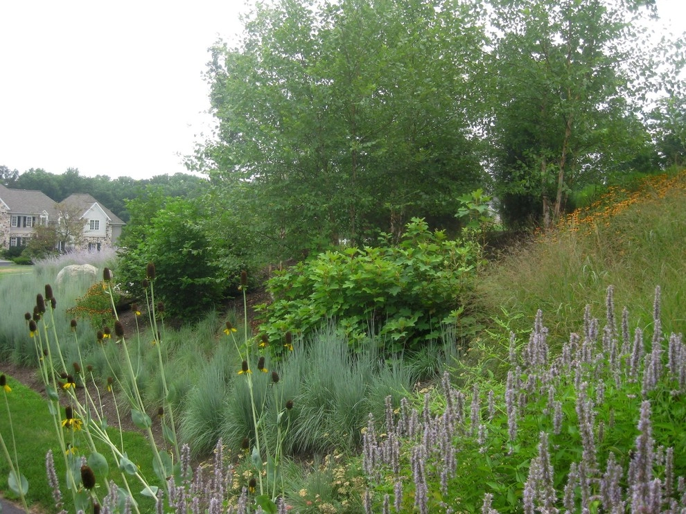 Outdoor Kitchen & Pool Garden, Malvern by Donald Pell - Gardens - Photo 3