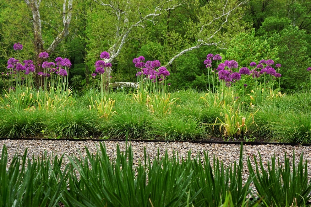 Royersford Front Hillside Garden by Donald Pell - Gardens - Photo 9