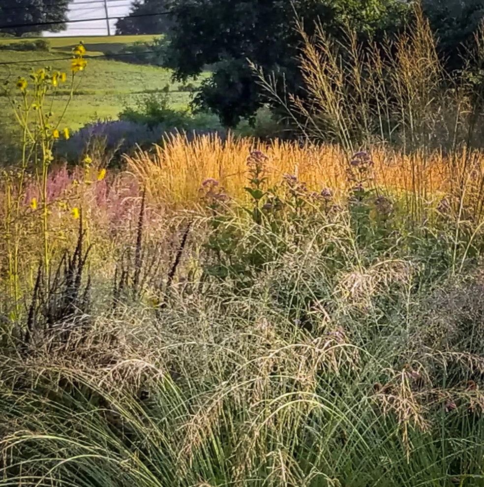 Donald Pell Studio Gardens, East Vincent Township by Donald Pell - Gardens - Photo 35