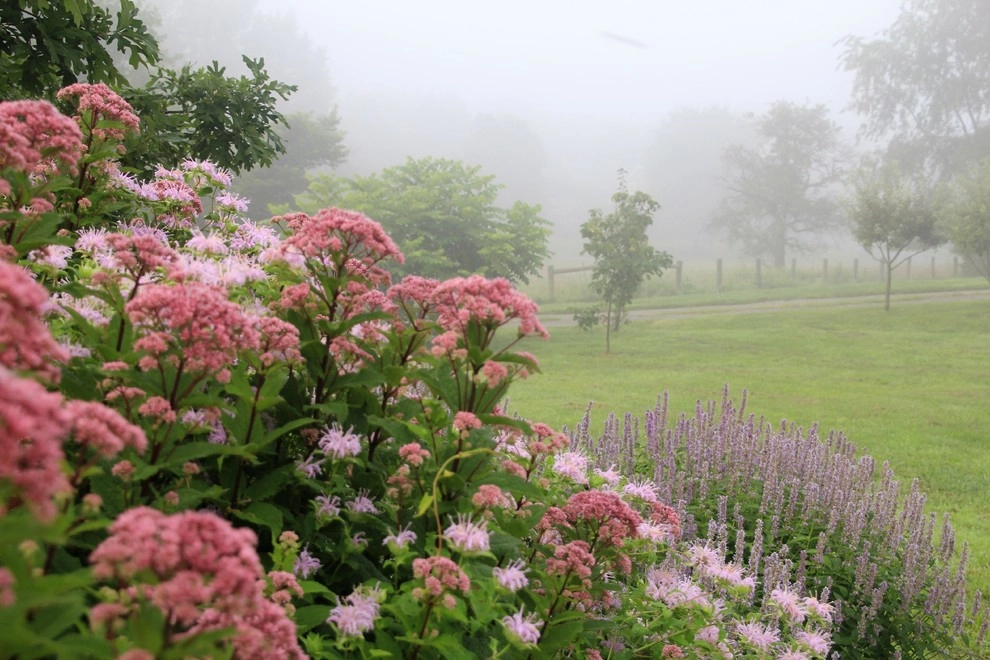 Donald Pell Studio Gardens, East Vincent Township by Donald Pell - Gardens - Photo 21