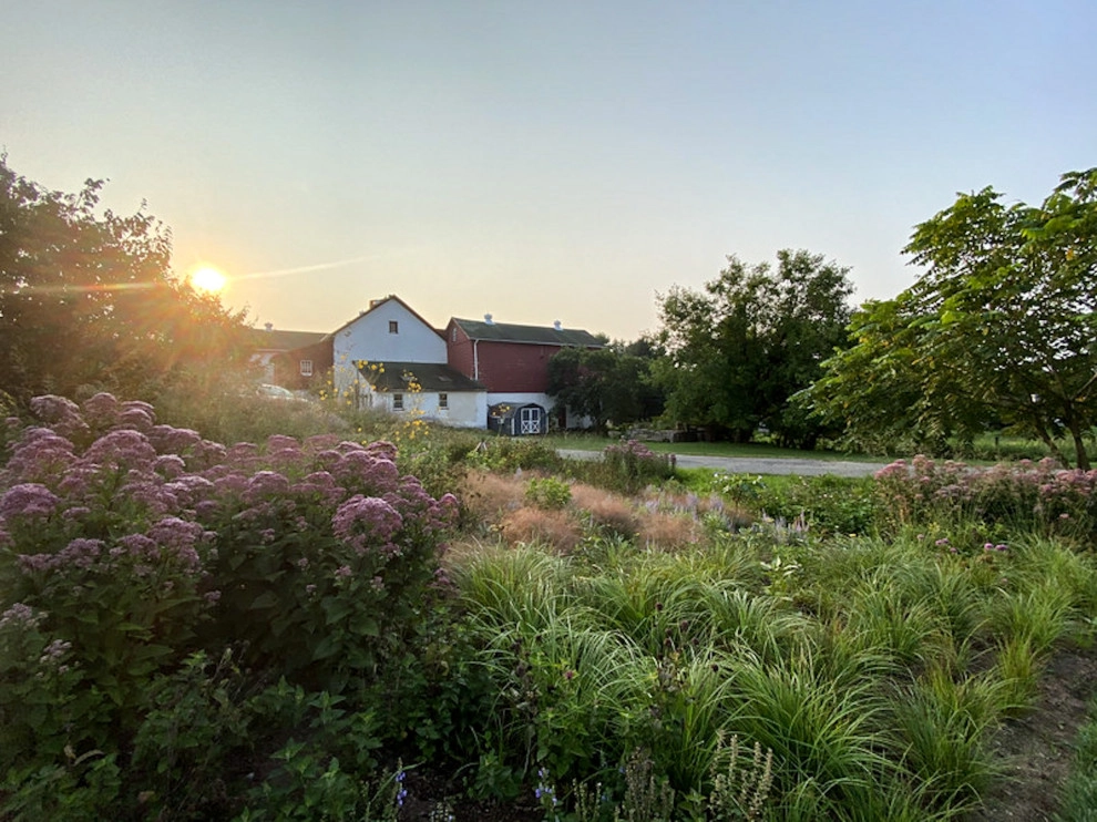 Donald Pell Studio Gardens, East Vincent Township by Donald Pell - Gardens - Photo 31
