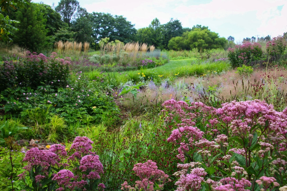 Donald Pell Studio Gardens, East Vincent Township by Donald Pell - Gardens - Photo 57